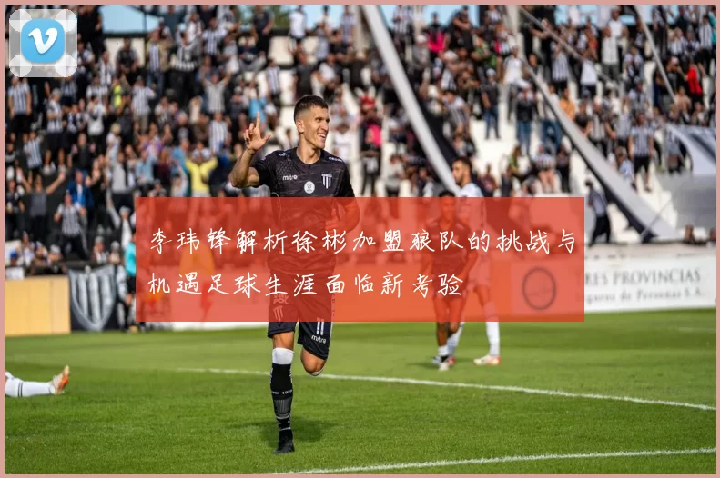 李玮锋解析徐彬加盟狼队的挑战与机遇足球生涯面临新考验