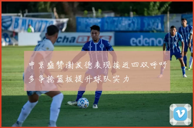 申京盛赞谢泼德表现接近四双呼吁多争抢篮板提升球队实力