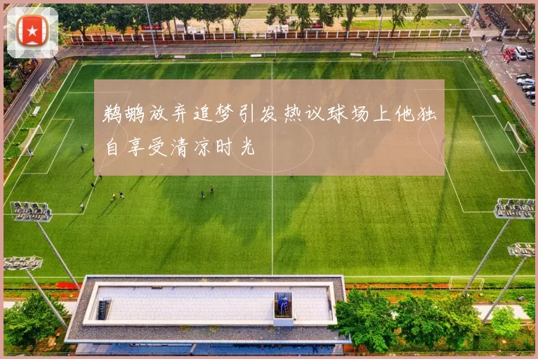 鹈鹕放弃追梦引发热议球场上他独自享受清凉时光
